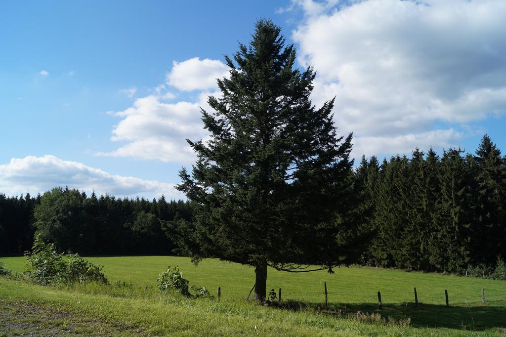 Landgasthof Restaurant Laibach Bad Berleburg Kültér fotó